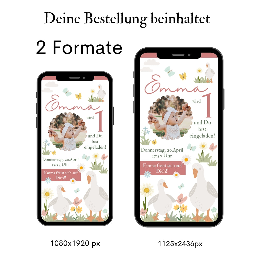 Einladung Kindergeburtstag Gans